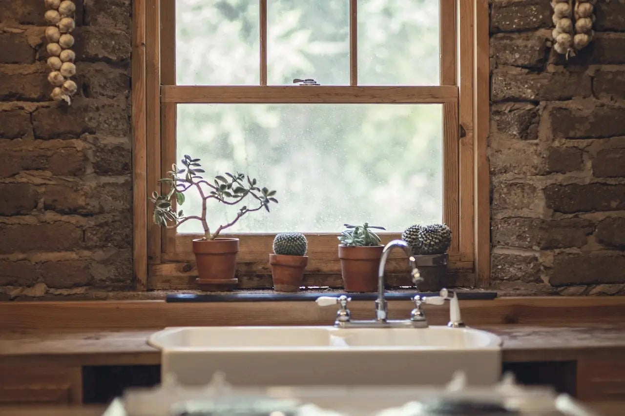 A kitchen window with the best kitchen faucet installed below, framed by a window sill adorned with various plants, creating a serene indoor atmosphere.