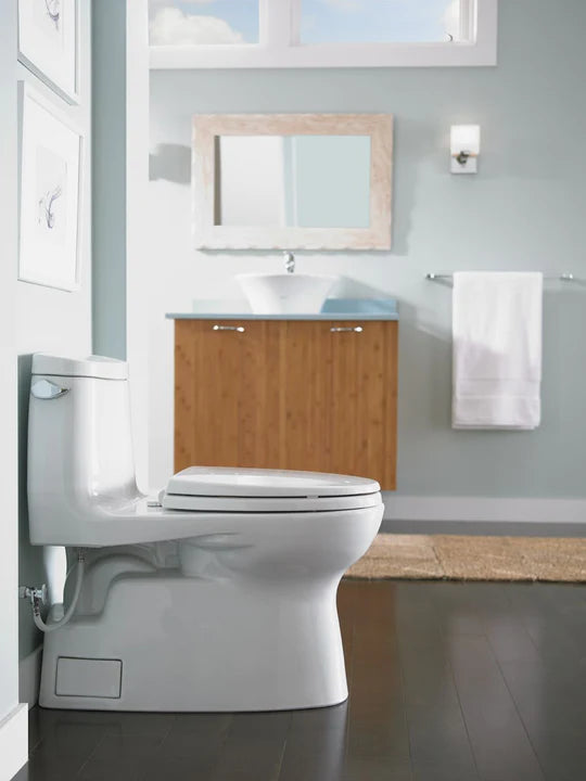 Elevate-Your-Bathroom-with-the-Toto-Carlyle-II-MS614124CEFG-01-A-Perfect-Blend-of-Style-and-Functionality Plumbing Market