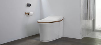 Smart Toilets - Plumbing Market