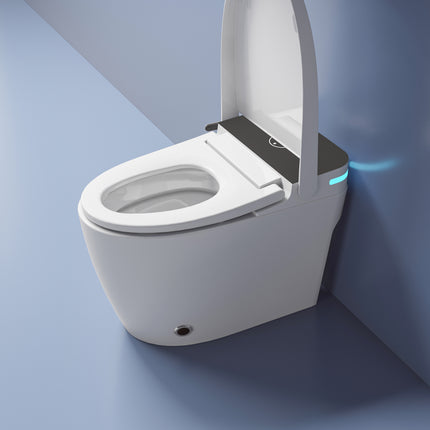 Cleo Smart Bidet Toilet with Auto Open and Close Lid - Plumbing Market