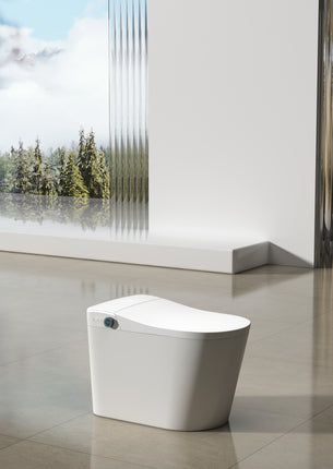 Cleo Smart Bidet Toilet with Auto Open and Close Lid - Plumbing Market