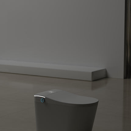 Cleo Smart Bidet Toilet with Auto Open and Close Lid - Plumbing Market