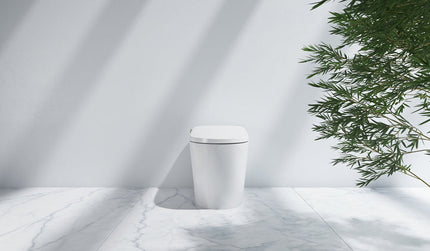 Ecoway Lux-Pro Integrated Smart Bidet Toilet Ecoway