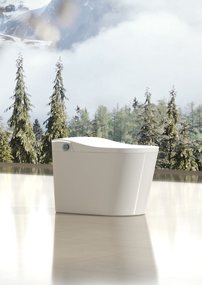 Cleo Smart Bidet Toilet with Auto Open and Close Lid - Plumbing Market