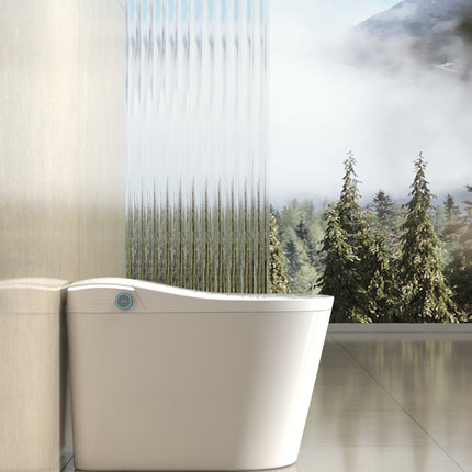 Cleo Smart Bidet Toilet with Auto Open and Close Lid - Plumbing Market