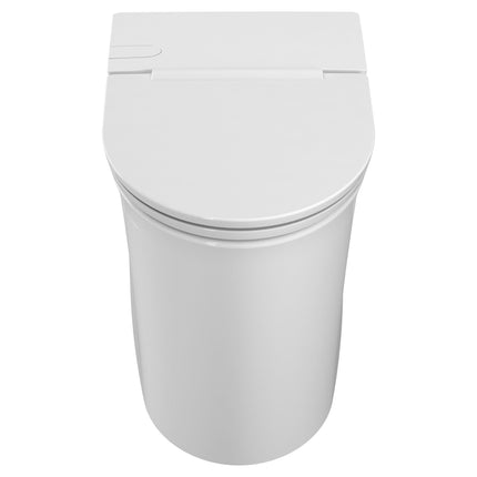 1.0 GPF Elongated Toilet 