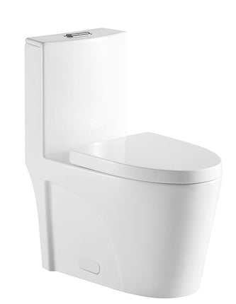 Liro One Piece Toilet, Dual Flush 4/6l, 12" Rough, UF Seat Cover Liro