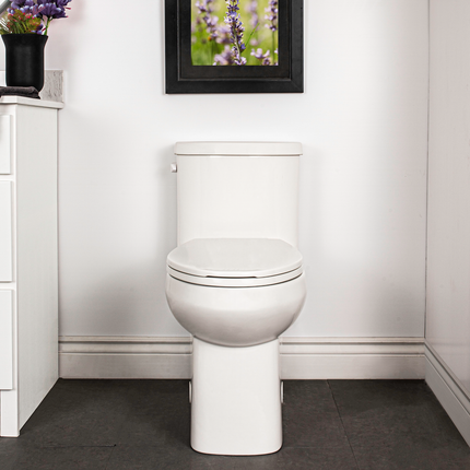 CALI 1PC 4.8L ELG. UNLINED TOILET W/SEAT - 4710BOVUW Plumbing Market