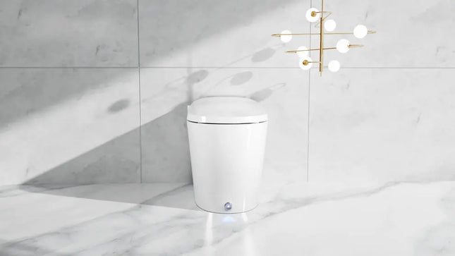 Ecoway Erie Integrated Smart Toilet With Built-in Bidet - Plumbing Market