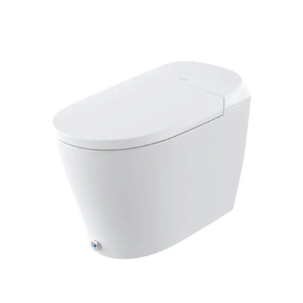 Ecoway Erie Integrated Smart Toilet With Built-in Bidet - Plumbing Market