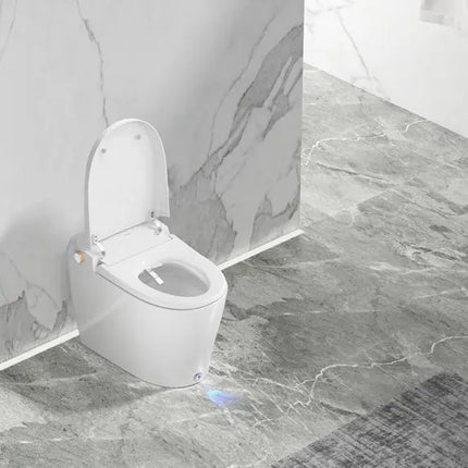 Ecoway Huron Integrated Smart Toilet With Built-in Bidet - Plumbing Market