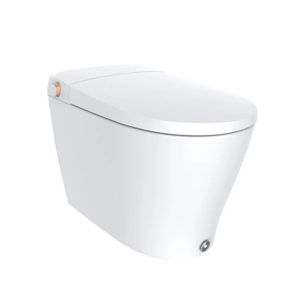 Ecoway Huron Integrated Smart Toilet With Built-in Bidet - Plumbing Market