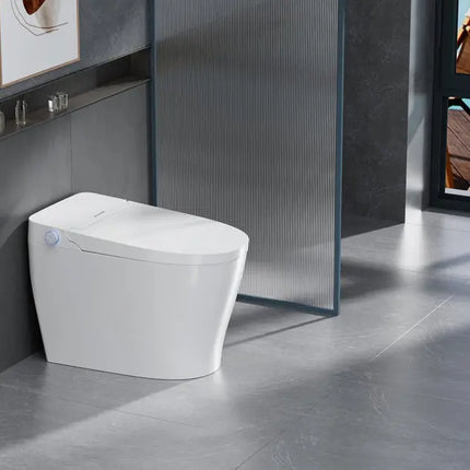 Ecoway Mono Integrated Smart Toilet With Built-in Bidet - Plumbing Market