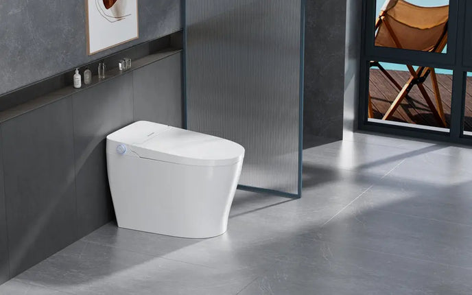 Ecoway Mono Integrated Smart Toilet With Built-in Bidet - Plumbing Market