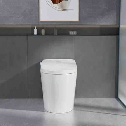 Ecoway Mono Integrated Smart Toilet With Built-in Bidet - Plumbing Market