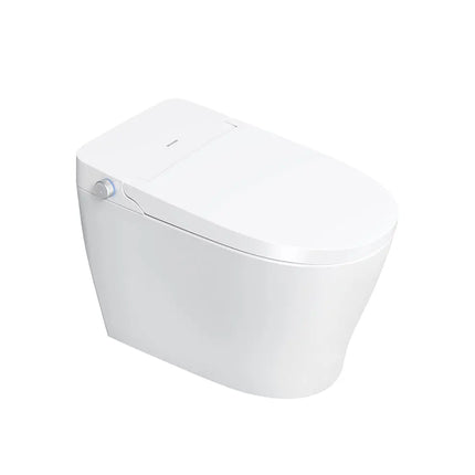 Ecoway Mono Integrated Smart Toilet With Built-in Bidet - Plumbing Market