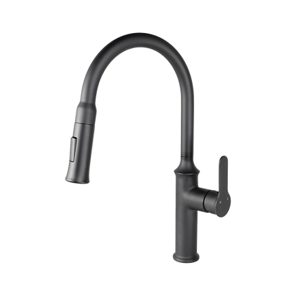 Kodaen Vuitton Pull Down Dual Spray Kitchen Faucet Kodaen