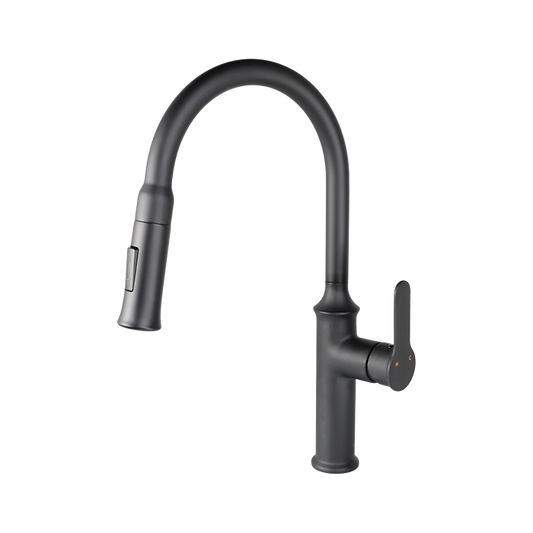 Cleo Vuitton Pull Down Dual Spray Kitchen Faucet (best kitchen faucet)