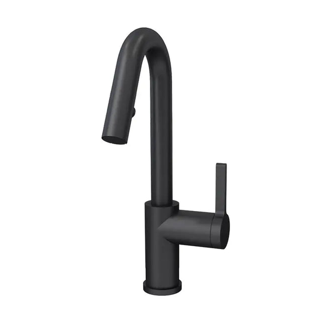 Rubi Loft Kitchen Faucet Round Body ‘’J’’ Spout 2 Jets Hand Spray Matte Black RLO91D2EJBK - Plumbing Market