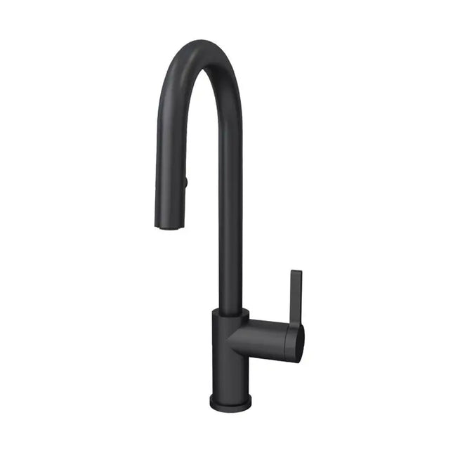 Rubi Loft Kitchen Faucet Round Body ‘’U’’ Spout 2 Jets Hand Spray Matte Black RLO91D2EUBK - Plumbing Market