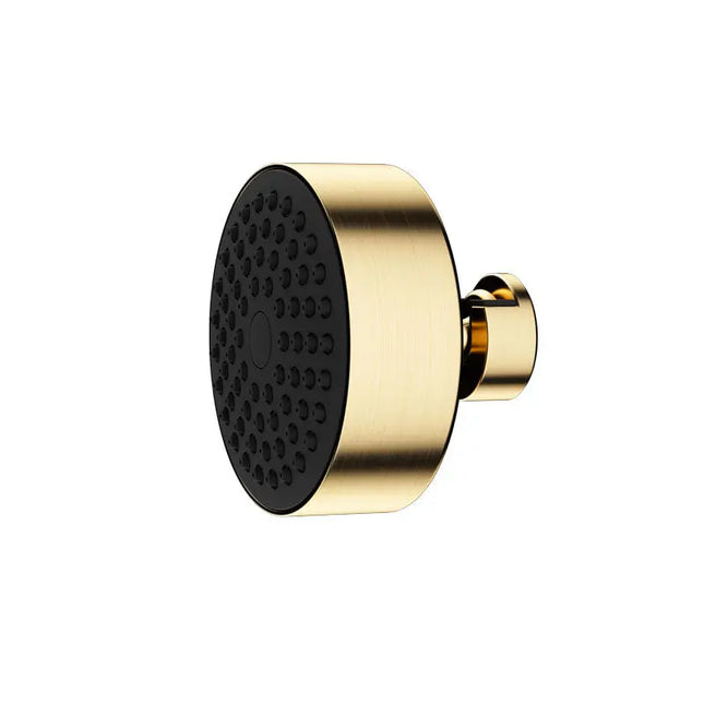 Rubi On Round Hand Shower Brushed Gold RON69DOOR - Plumbing Market