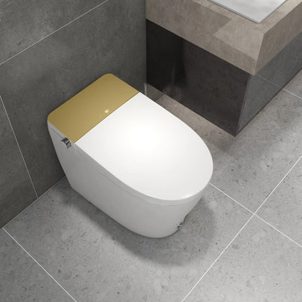 Kodaen Canary Integrated Smart Toilet With Built In Bidet Kodaen