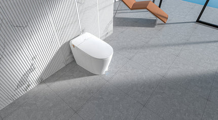 Ecoway Lux-Pro Integrated Smart Bidet Toilet Ecoway