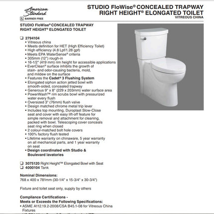 Concealed Elongated Toilet 