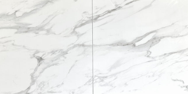 Tru Stone 24x24 Stella White Polished Tru Stone